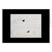 sombra de la mariposa tarjeta