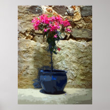 SOMBRA DEL VERANO POSTERS