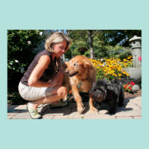 Sombra híbrida 20 de Goldie del golden retriever posters
