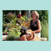 Sombra híbrida 24 de Goldie del golden retriever posters