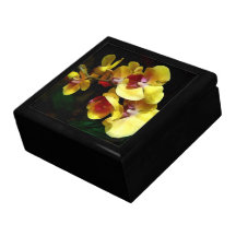 Sombra y luz amarillas de las orquídeas caja de regalo