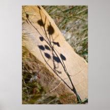 Sombras de la flor posters