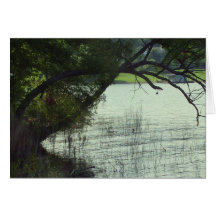 sombrío por el lago tarjetas