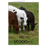 Somos cambio de Mooovin de tarjeta de la vaca de l