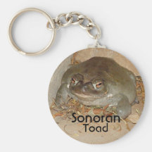 Sonoran, sapo, Arizona Llaveros Personalizados