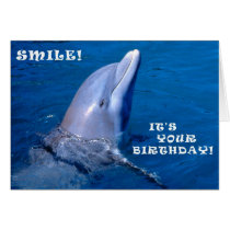 Sonrisa del cumpleaños del delfín tarjetas