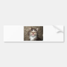 Sonrisa del gatito etiqueta de parachoque