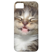 Sonrisa del gatito iPhone 5 protectores