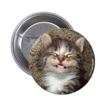 Sonrisa del gatito pins