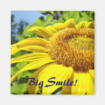 ¡Sonrisa grande! imanes amarillos del girasol de l