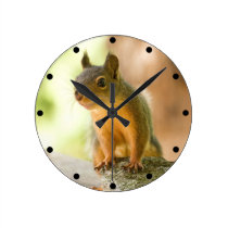 Sonrisa linda de la ardilla reloj de pared