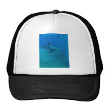 Sonrisas del delfín gorras de camionero