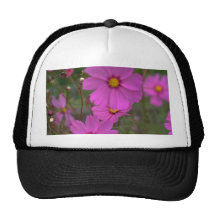 Sonrisas del rosa gorras de camionero