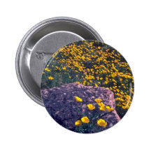 Sonrisas soleadas pins