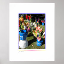 Soporte de Gladiolas del borde de la carretera Posters