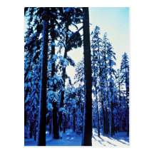 Soporte Shasta Postal