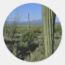Soportes de los cactus pegatinas  