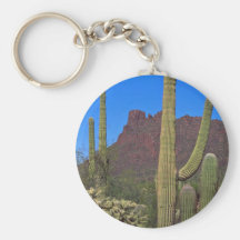 Soportes del Saguaro Llaveros Personalizados