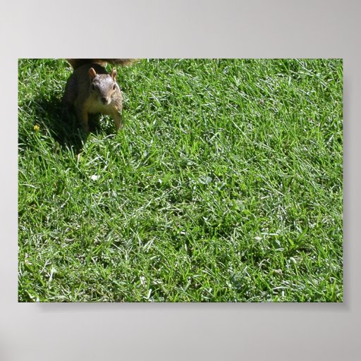 Sorpresa Posters