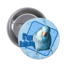 Soy botón azul del Parakeet del Quaker Pins