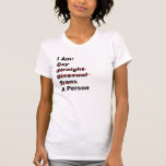 Soy el gay, recto, bisexual, transporte, persona camisetas
