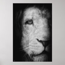 ¡Soy el rey! Poster