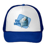 Soy gorra azul del Parakeet del Quaker