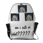 soy lindo o qué bolsas de mensajería