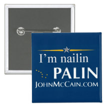 Soy palin del nailin pin