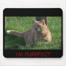 Soy PURRFECT Tapete De Raton