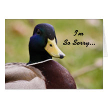 Soy tarjeta tan triste del pato