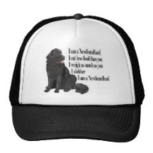 Soy Terranova Gorra
