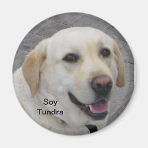 Soy Tundra Imán Para Frigorifico