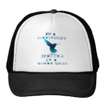 Soy un colibrí gorras