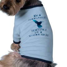 Soy un colibrí ropa de mascota