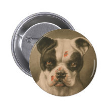 ¿Soy un mún perro qué clase de perro es usted? Pin
