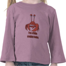 Soy un poco malhumorado hoy camisetas
