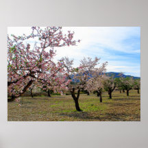 Spanischer Fruehling Plakat