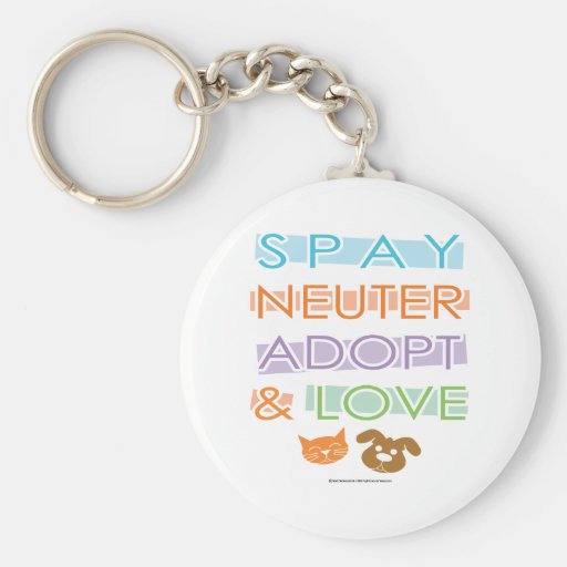 Spay el neutro adoptan amor llavero