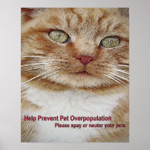 Spay/poster neutral