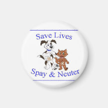 Spay y neutralice el imán