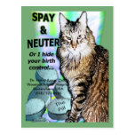 Spay y neutralice (personalice) la postal