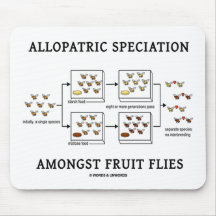 Speciation alopátrico entre moscas del vinagre alfombrilla de ratón