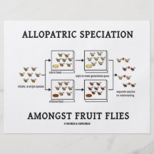 Speciation alopátrico entre moscas del vinagre tarjeton