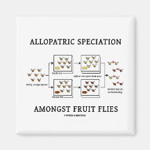 Speciation alopátrico entre moscas del vinagre iman de nevera