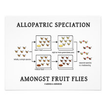 Speciation alopátrico entre moscas del vinagre comunicado personalizado