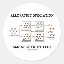 Speciation alopátrico entre moscas del vinagre etiqueta