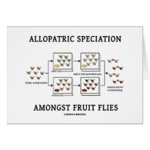 Speciation alopátrico entre moscas del vinagre tarjetón