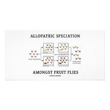 Speciation alopátrico entre moscas del vinagre tarjeta personal con foto