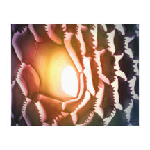 Spiriacles Impresion En Lona